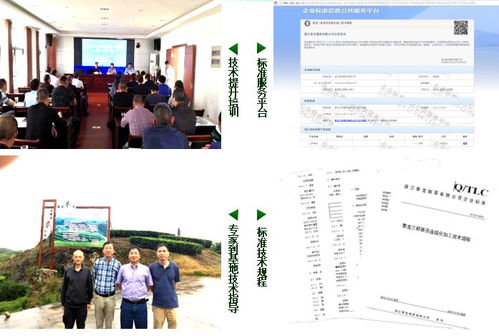 三杯香茶連續(xù)化加工技術(shù)示范與推廣項目獲好評，為茶產(chǎn)業(yè)現(xiàn)代化注入新動力